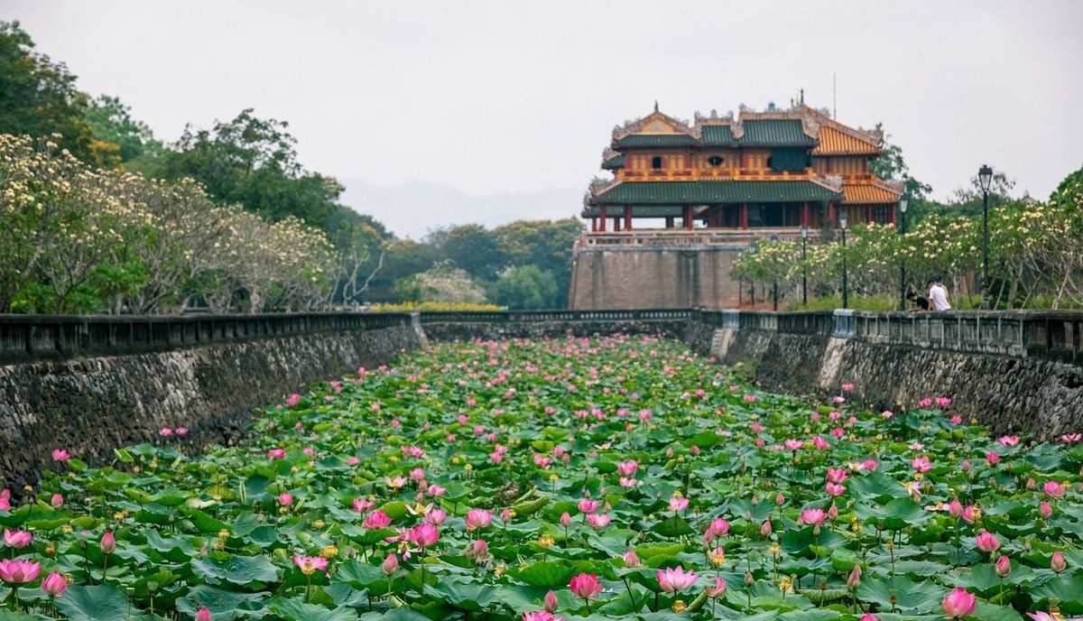 Discovering Tinh Tam Lake: A Tranquil Escape in Historic Hue