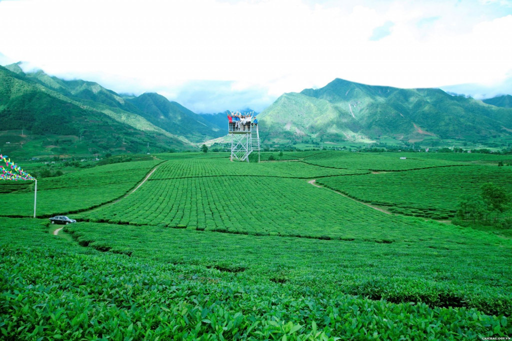 新渊茶山。