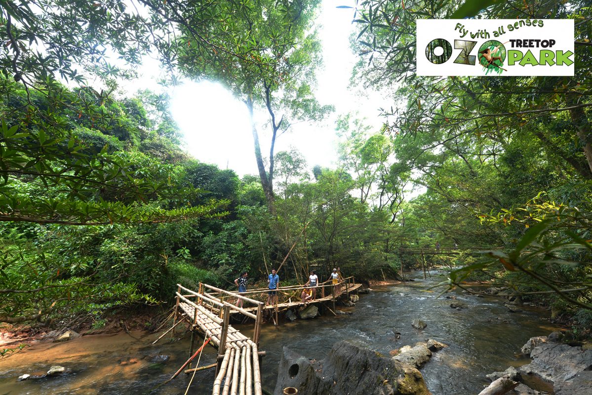 Du lịch sinh thái OZO TREETOP PARK