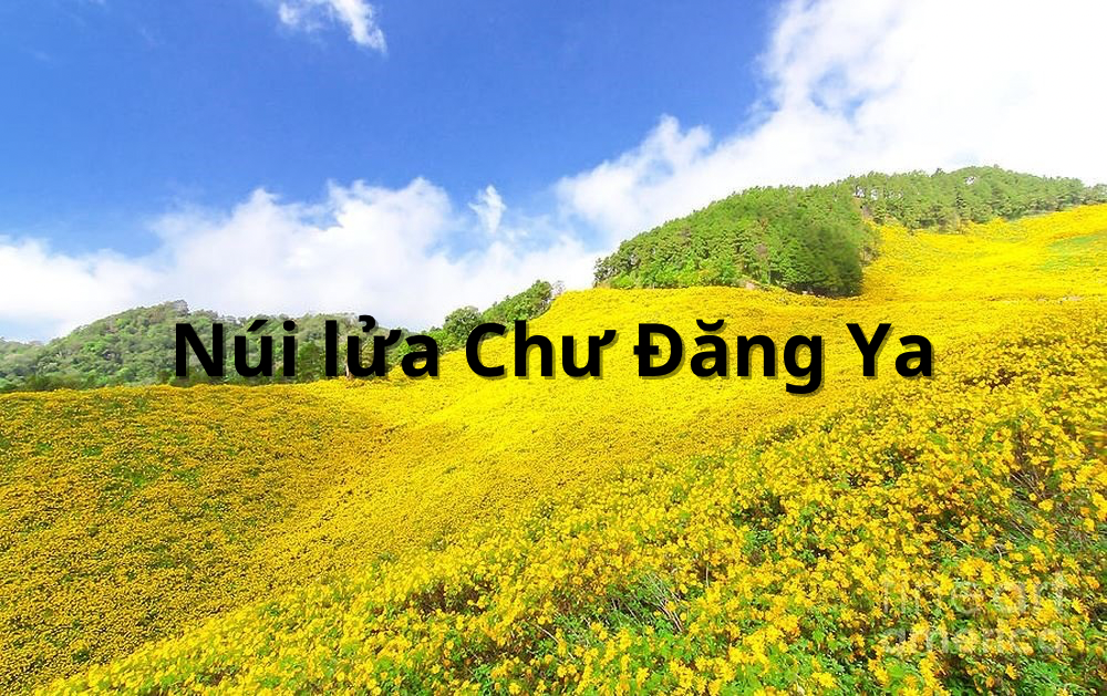 Núi lửa Chư Đăng Ya - thiên đường hoa dã quỳ