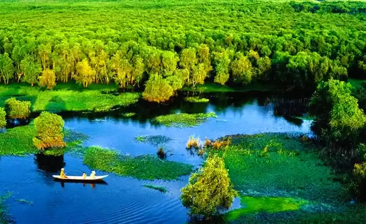 Beautiful scenery of Tram Chim National Park