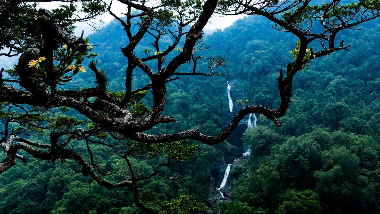 瀑布位于北部万皮奥山脉的半山腰，达克那公社（图莫荣区）。