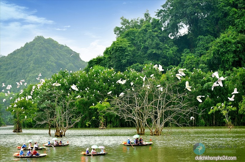 Vườn chim Thung Nham