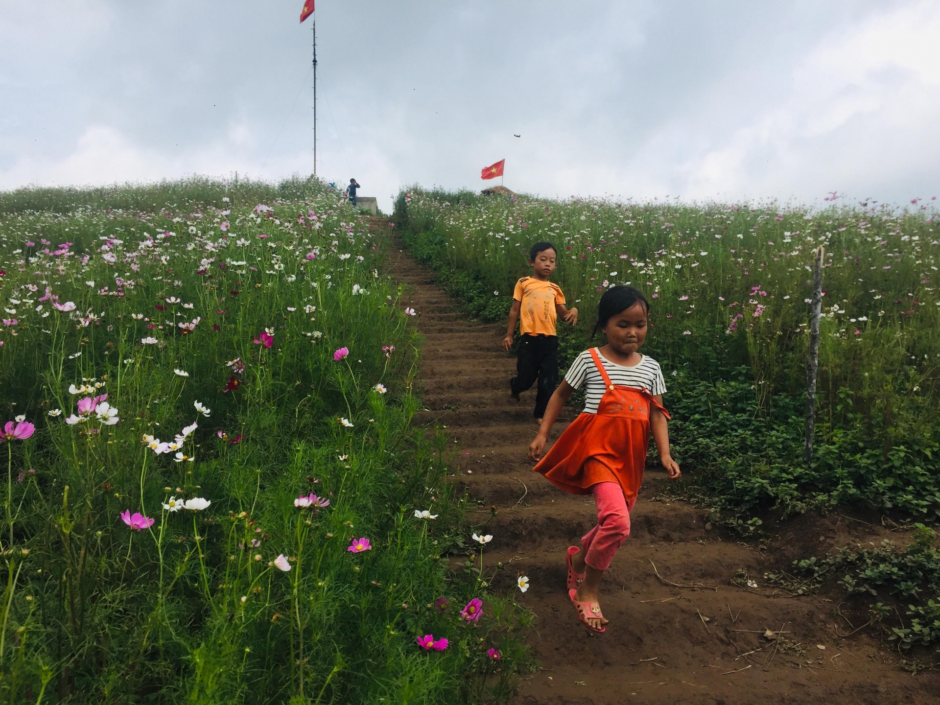 Mu La has many very poetic gardens growing mustard flowers and butterfly flowers.