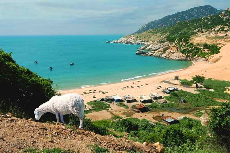 Bãi Tràng là một bãi cát sa mạc trải dài vô tận cùng với làn nước biển trong xanh. Được mệnh danh là nơi ngắm bình minh đẹp nhất tại tỉnh Ninh Thuận