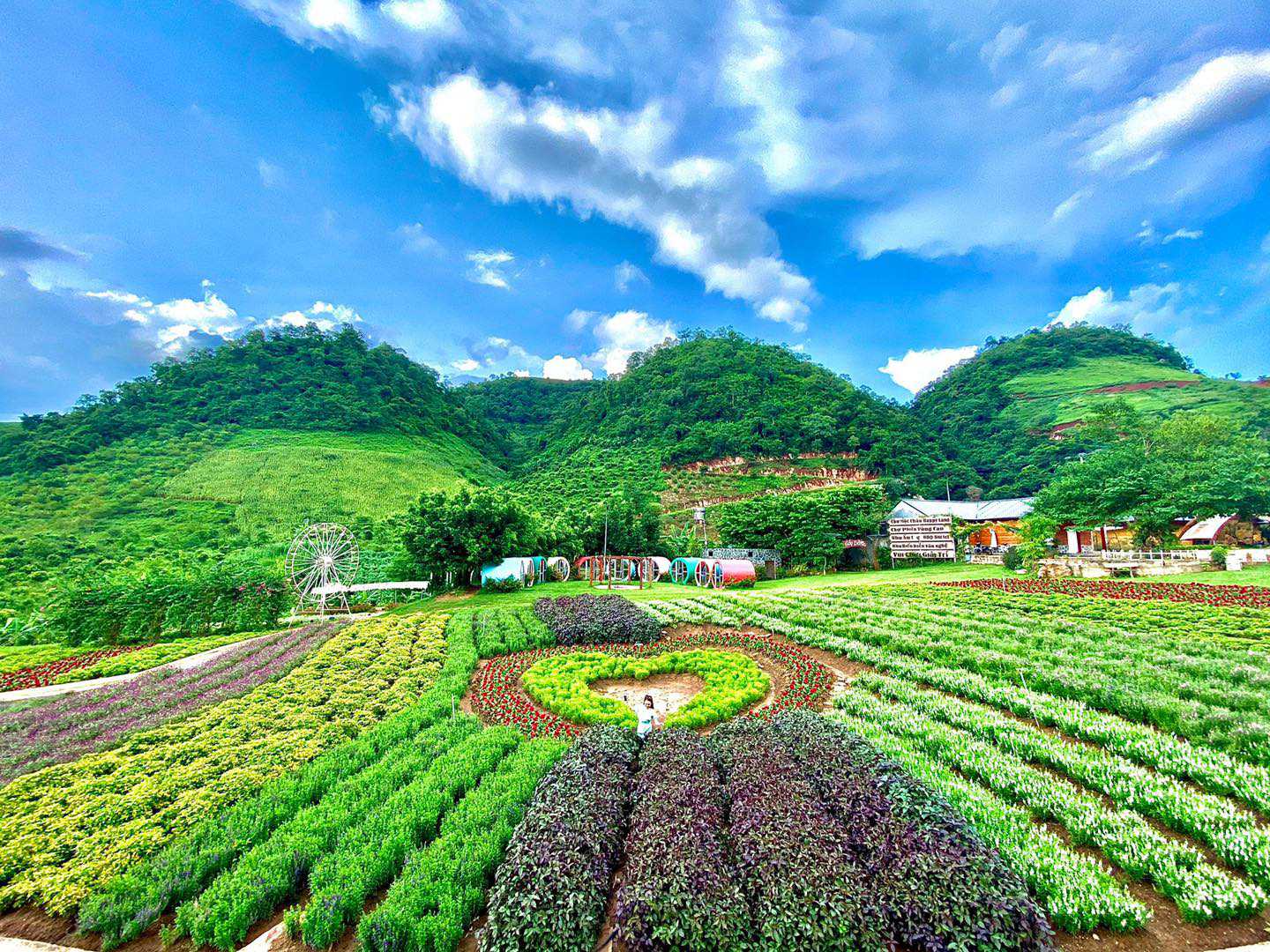 Mộc Châu Happy Land.