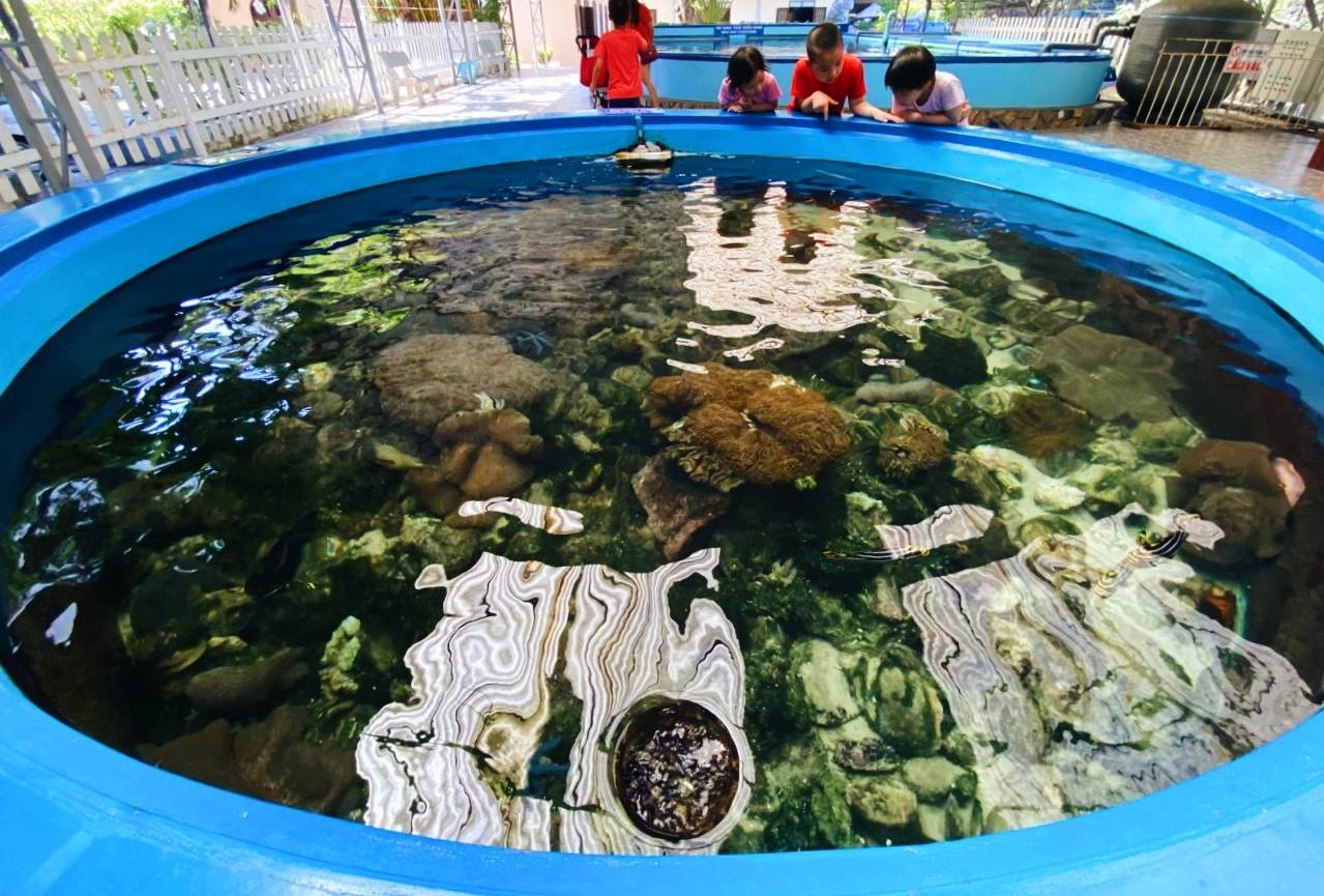 Nha Trang Oceanography Institute