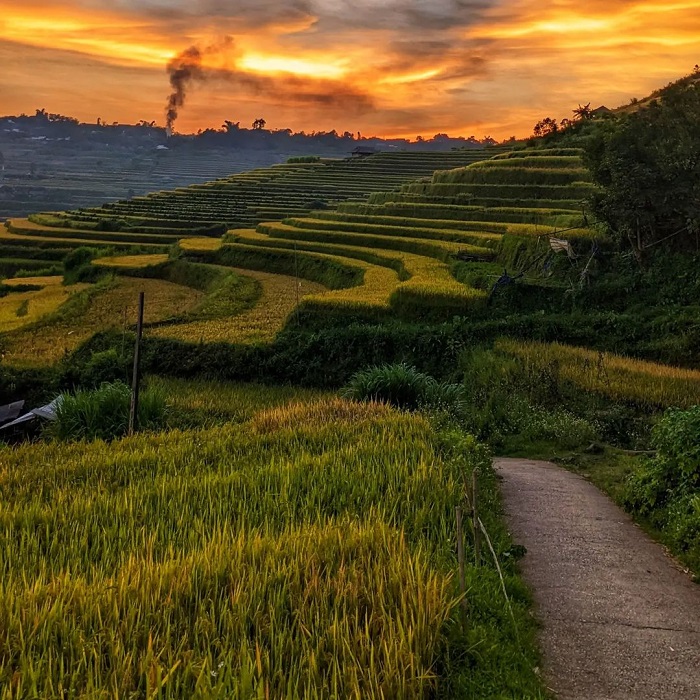 稻成熟时节，塔岭村的美景。