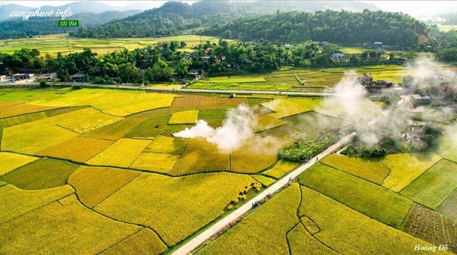 Muong Lo fields