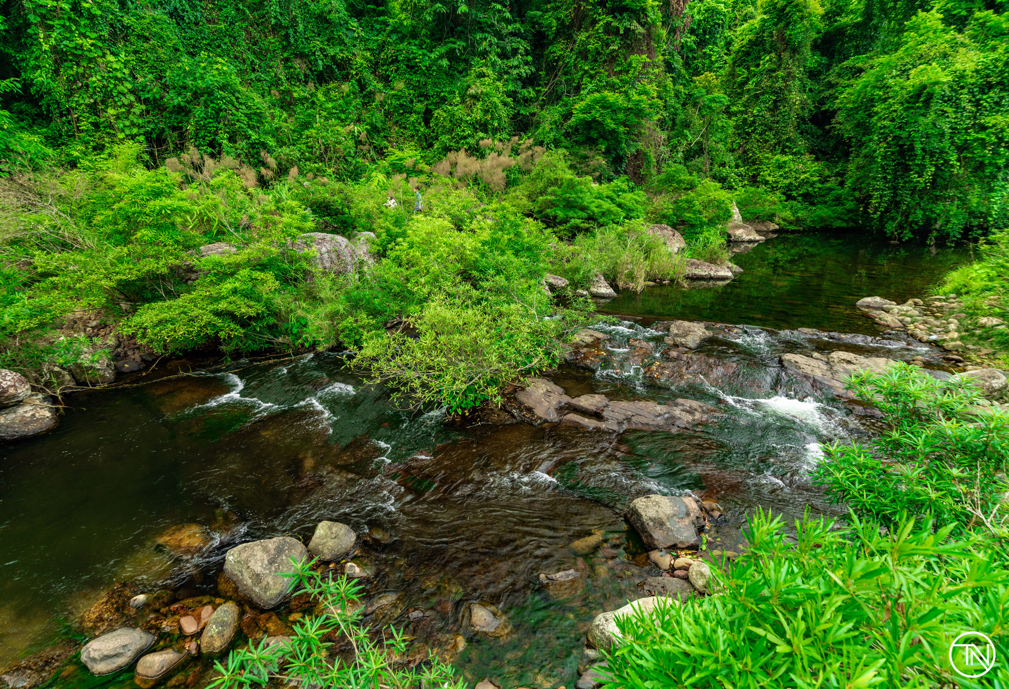 Cool green stream