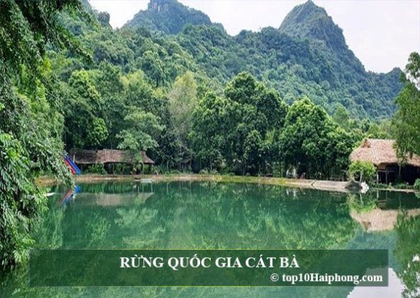 Cat Ba National Forest - top 10 enchanting places in Hai Phong