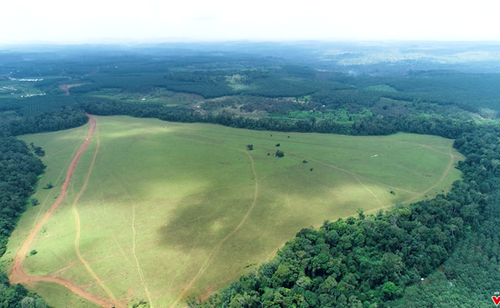 Mud Lach Grassland - Aerial view