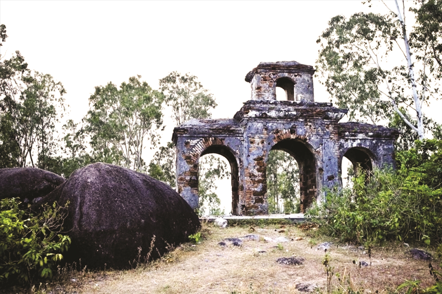 Truong Luy Quang Ngai