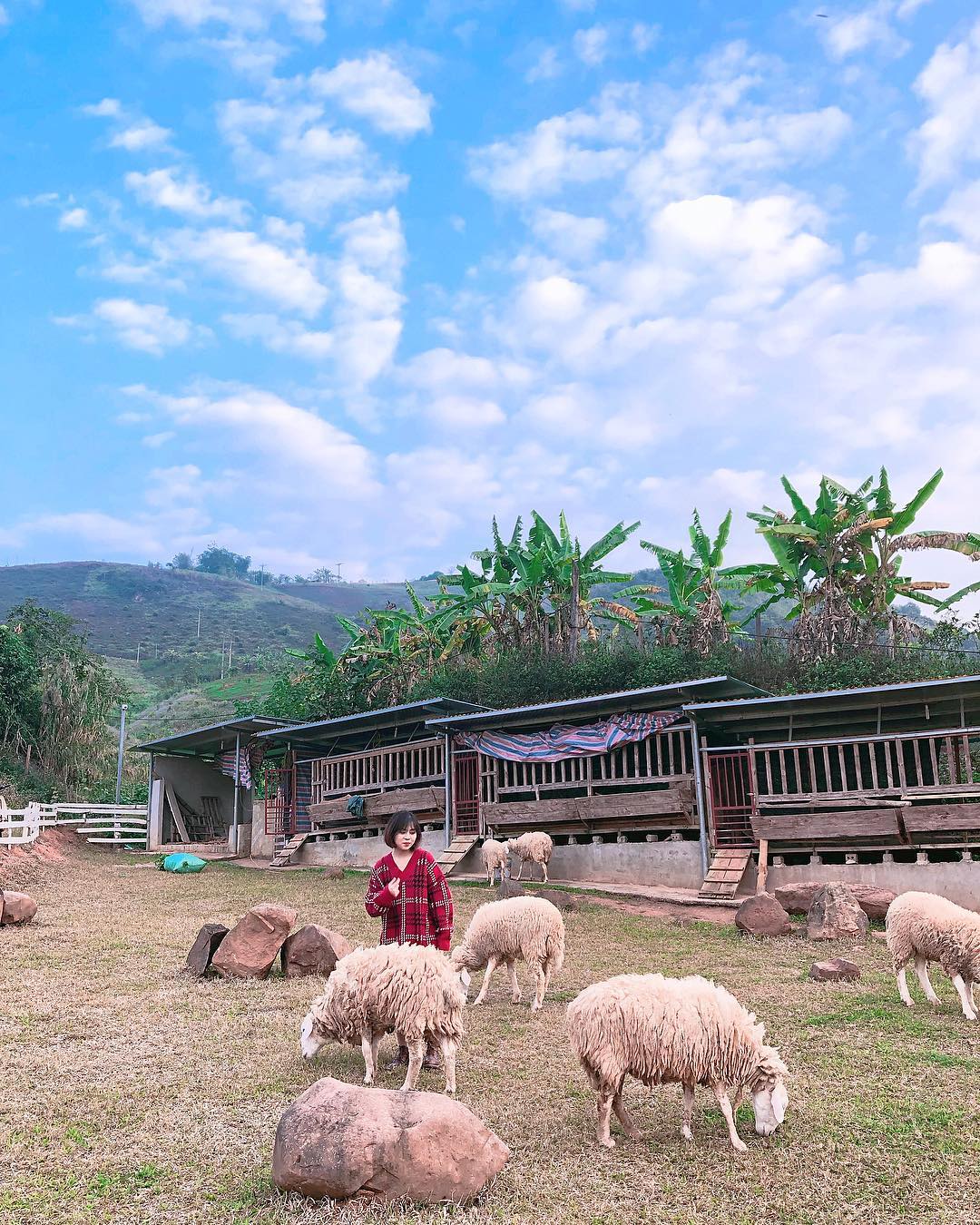 Mộc Châu Happy Land.