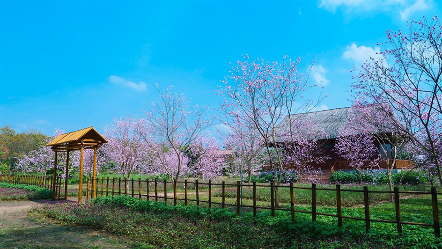 拥有清新的空气和多彩的美景，这里绝对是您西宁之旅的理想目的地之一。