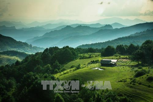 Phia Oac National Park - Phia Den - Panoramic view