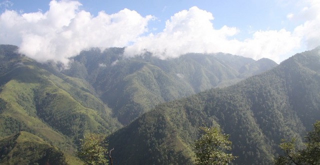 普寺龙峰