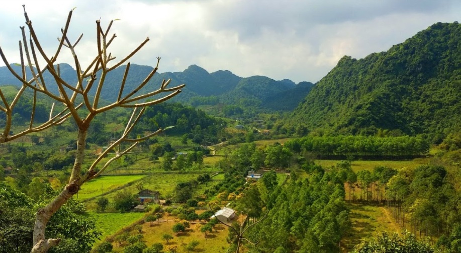 Phòng Tuyến Tam Điệp: Nơi Lịch Sử Kể Lại Những Câu Chuyện Huyền Thoại