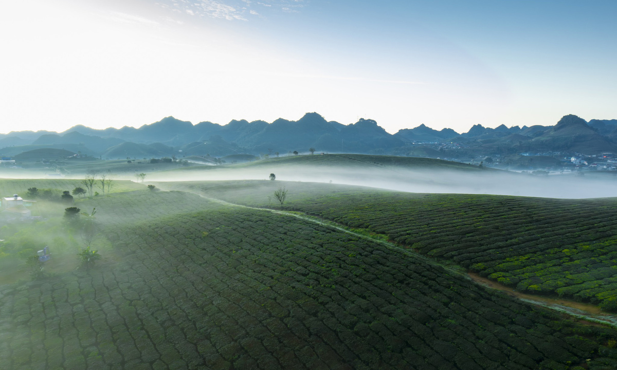 心茶山