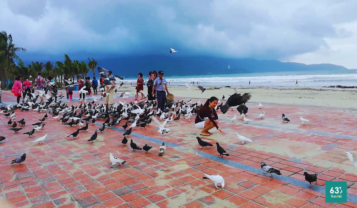 Check-in ngay công viên biển Đông nằm cạnh bãi biển Mỹ Khê vô cùng xinh đẹp