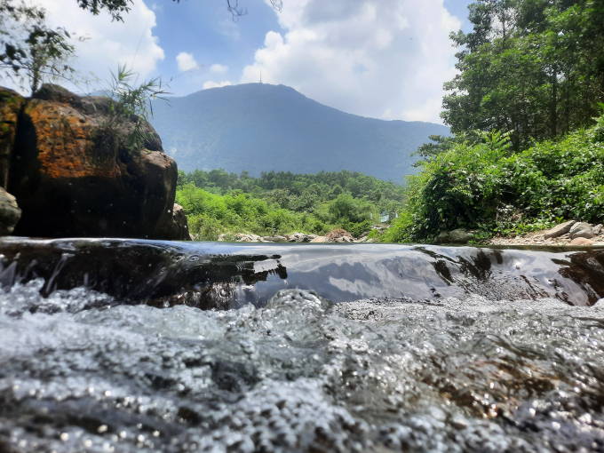 Stone Gate Stream