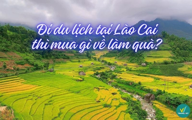 Đi du lịch tại Lào Cai thì mua gì về làm quà?