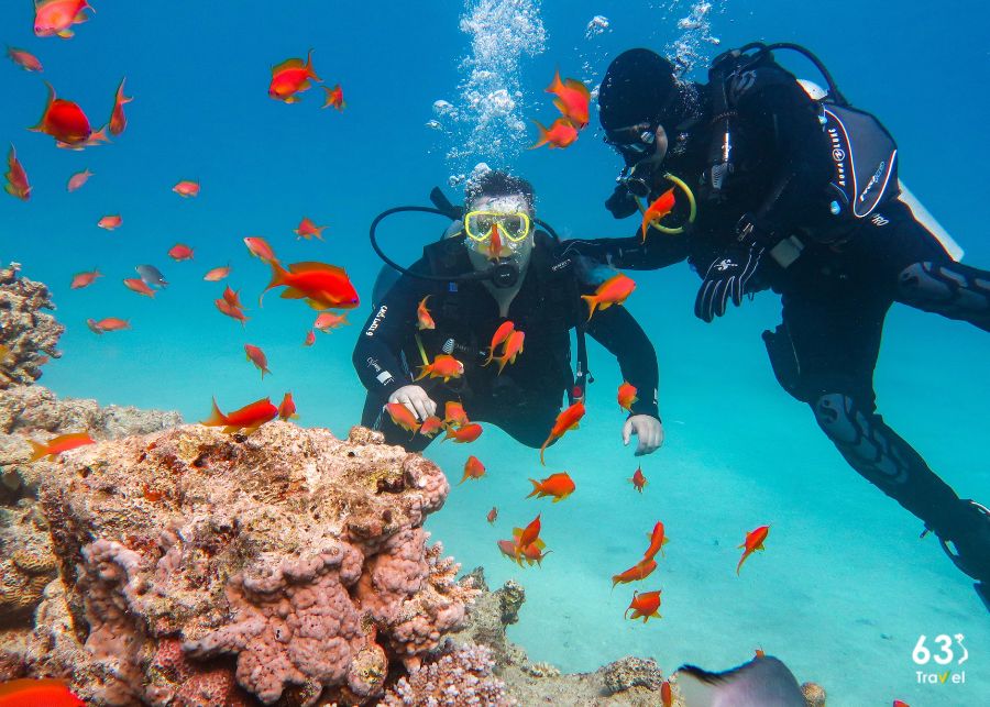 Top 9 diving points to see the coral in Kien Giang beautiful