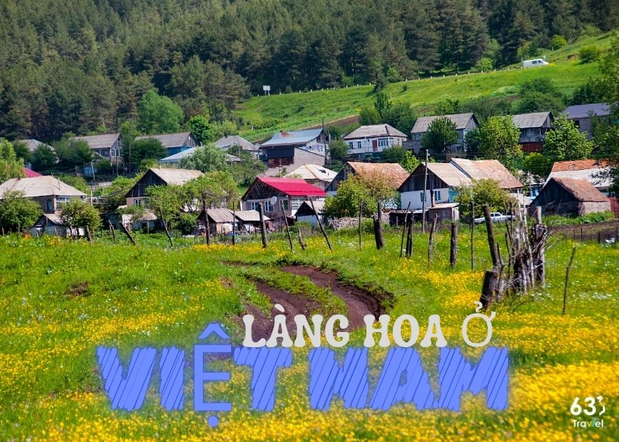 Admire 14 most beautiful and famous flower villages in Vietnam