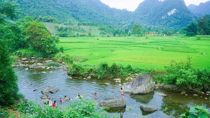 Bản Cỏi