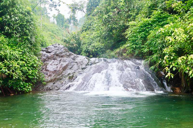 Image Quách Thu Phương image beautiful image beautiful image beautiful image beautiful image beautiful image beautiful image beautiful image beautiful - The stream flows in the middle of the lush green forest to create ...