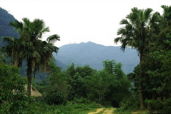 Tham Mountain (Dau Rong mountain)