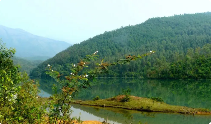 Tay Yen Tu Nature Reserveの原始植生。