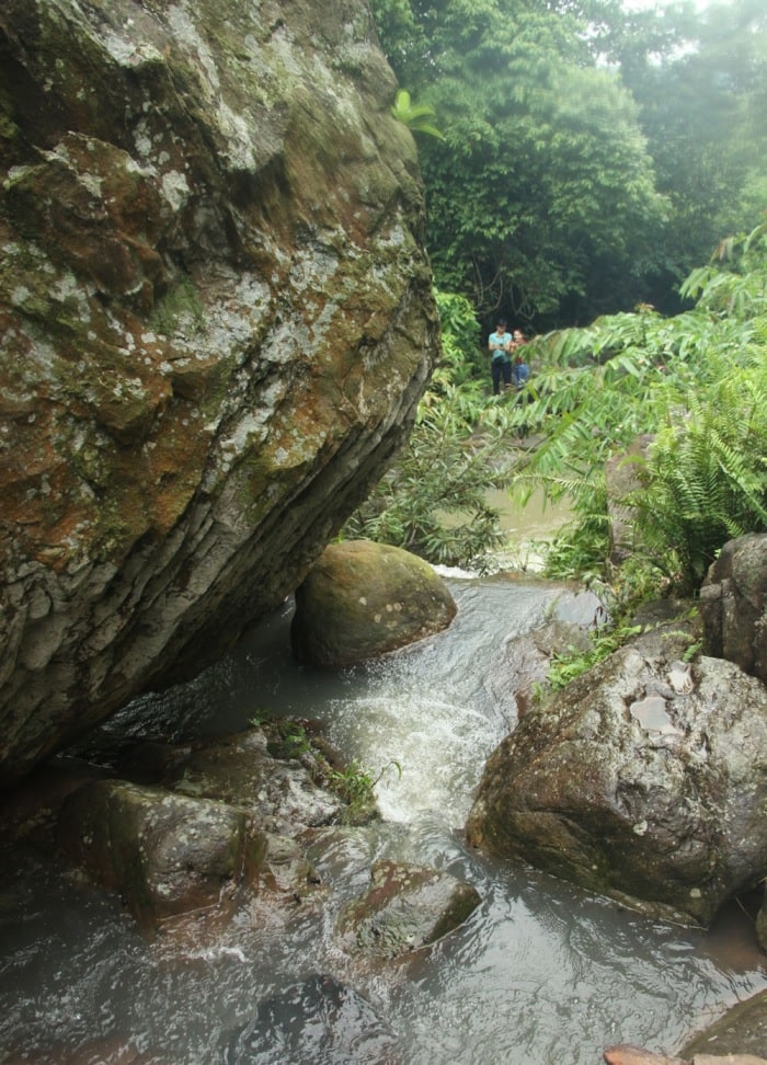 In the dry season, the stream has the opportunity to show all its healthy beauty. In particular, as an interesting of nature