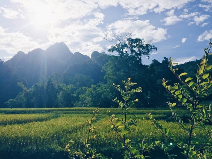 Bản Cỏi