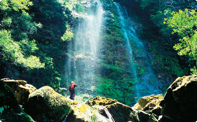 Tay Yen Tu Nature Reserve