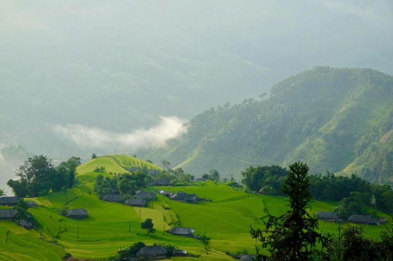 The beautiful and beautiful fields like the scene that many people fascinated at first sight