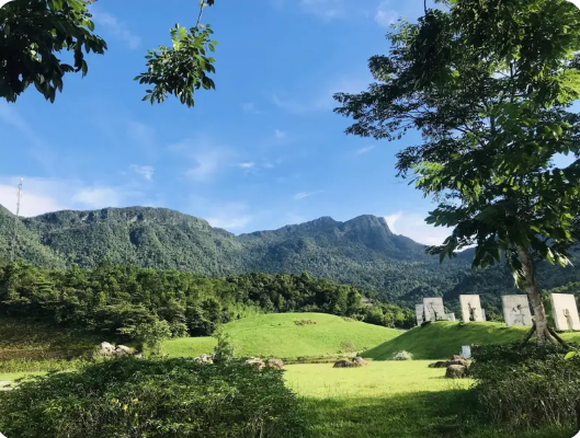 Tay Yen Tu Nature Reserveの多様な生態系