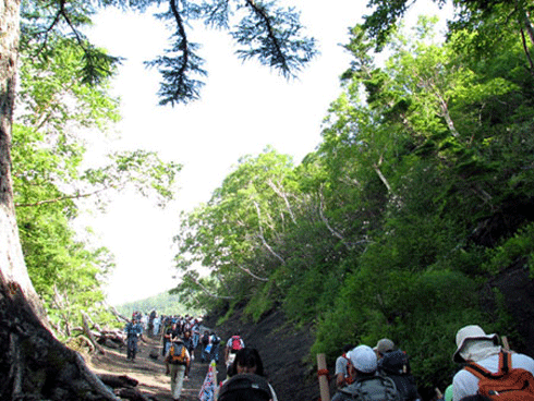 The journey to the top of the moss is quite dangerous, bumpy.