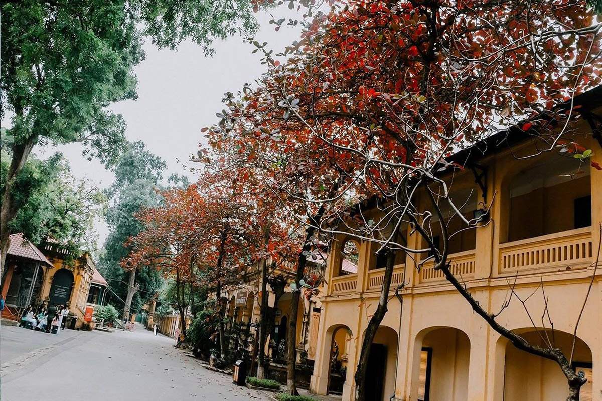 Hai Phong Old Town.