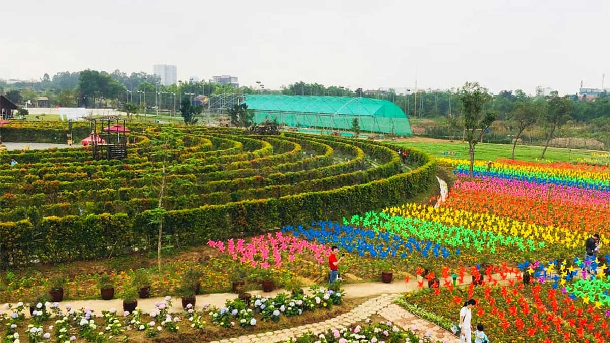 Công Viên Hoa Hồng Rose Park: Tận Hưởng Không Gian Xanh Mát Và Sắc Hoa Rực Rỡ