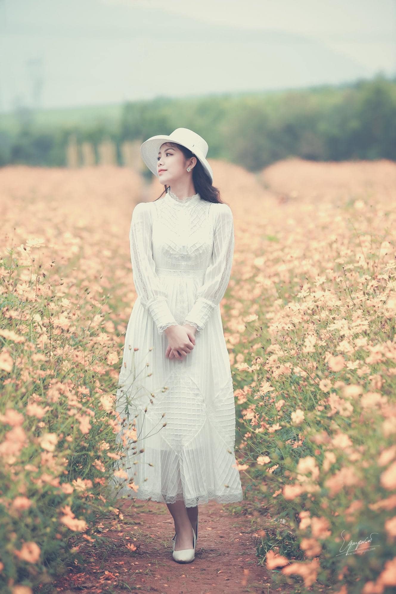 Flower fields of Duong Nghia Dan