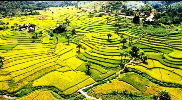 Bản Tèn