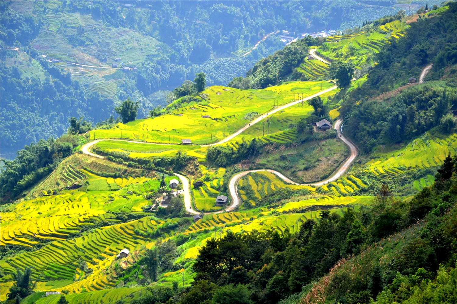Bản Ngải Thầu Thượng