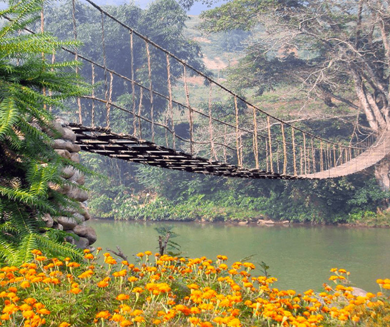 May Van Cloud Bridge