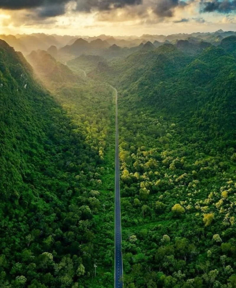 Cat Ba National Park