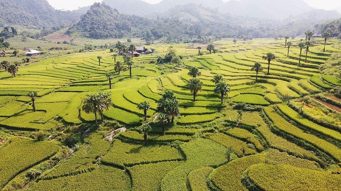 Bản Tèn