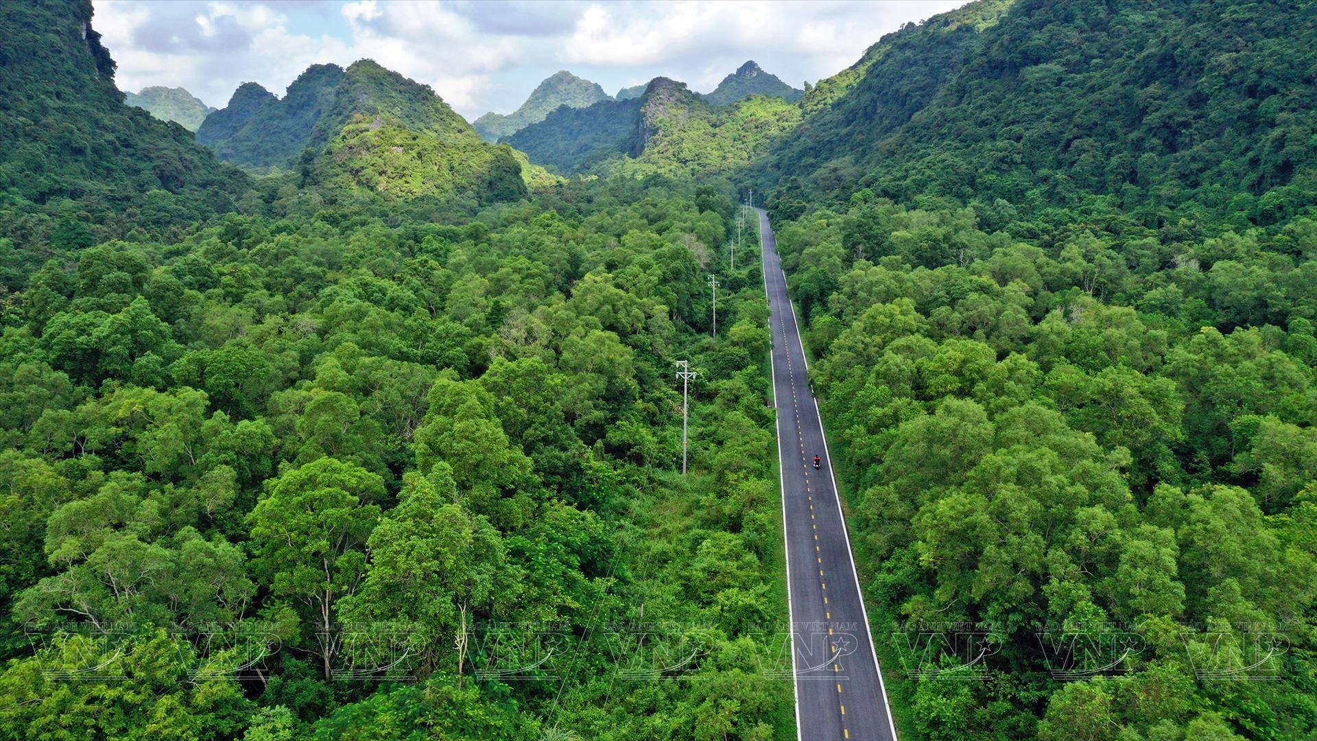 Với diện tích 17ha, trong đó có 11ha là rừng núi và 6ha là biển, vườn quốc gia Cát Bà là một thiên đường hoang sơ của Việt Nam