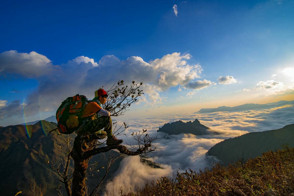 Bạch Mộc Lương Tử