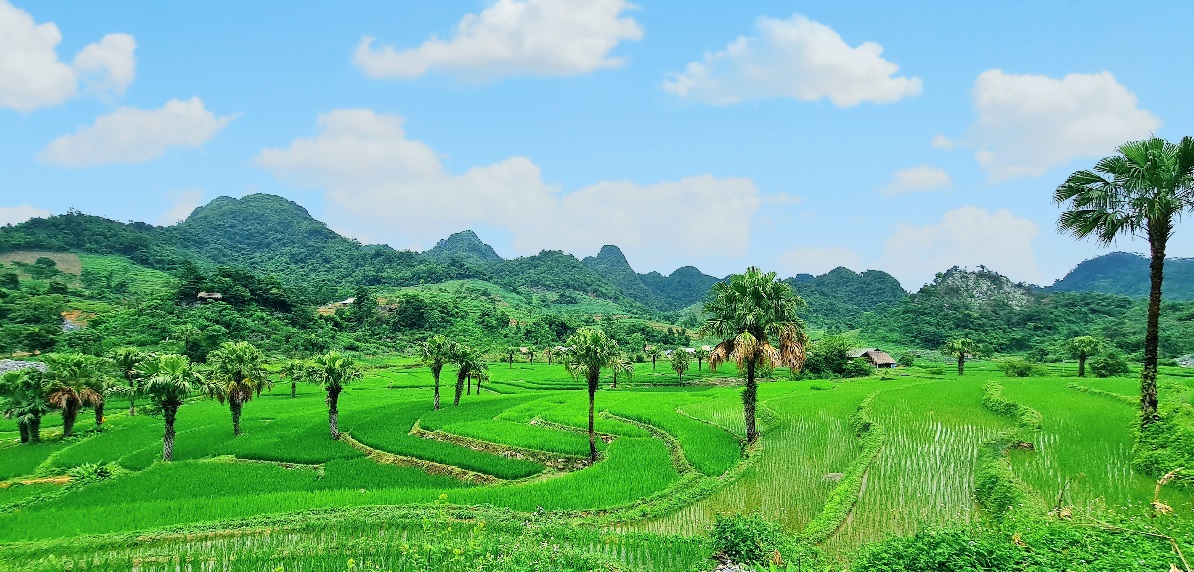 Bản Tèn