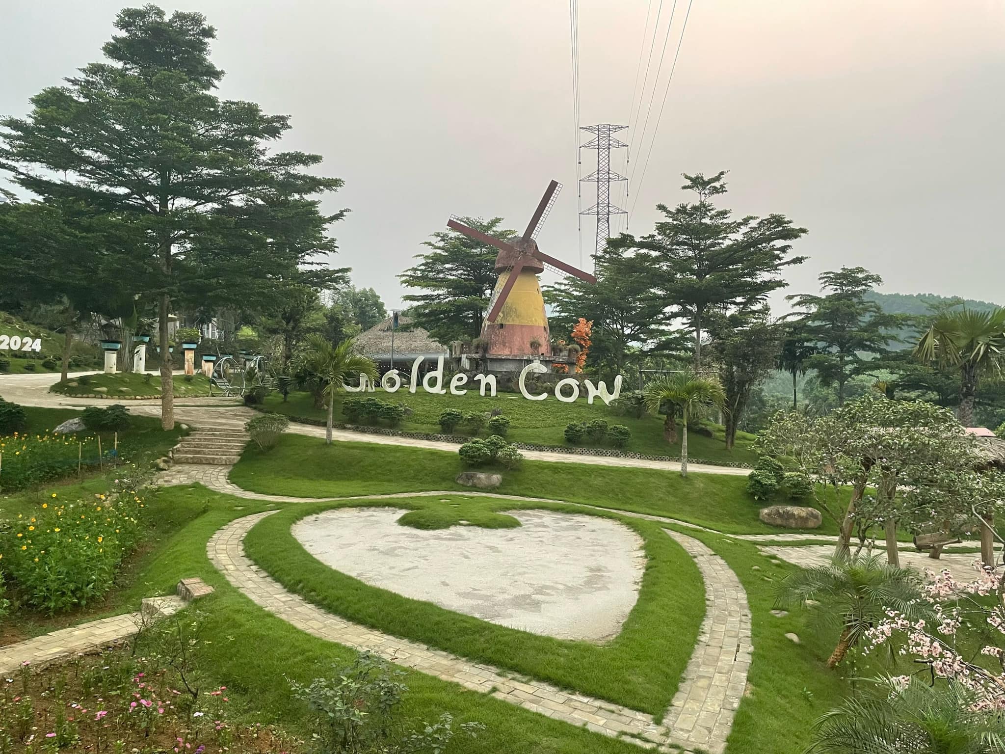 Golden Cow Farm